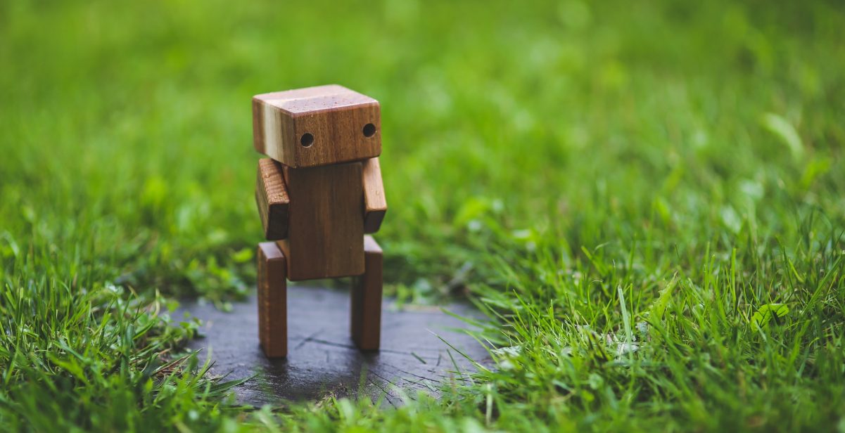 Little robot standing in the grass