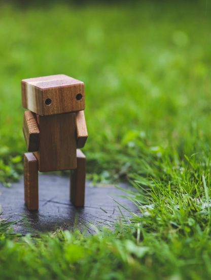 Little robot standing in the grass
