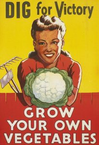woman holding organic vegetables