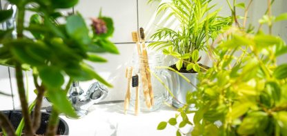 bamboo toothbrushes, plants, bathroom