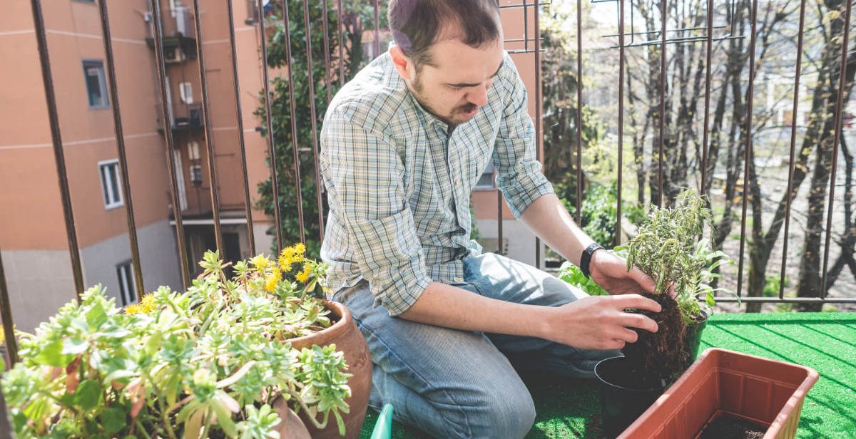 Bloke gardening