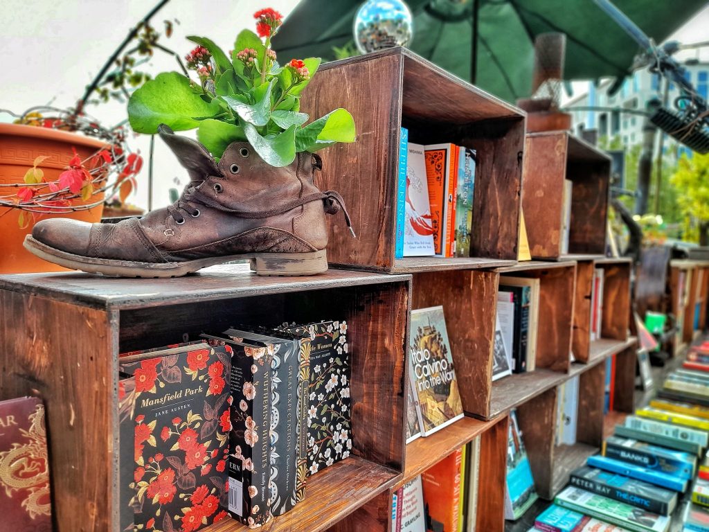 bookshelves, an old boot with a plant