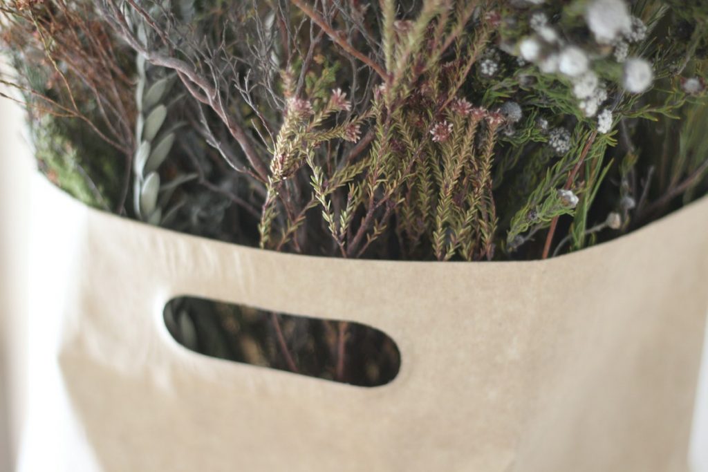 Plants in a paper bag