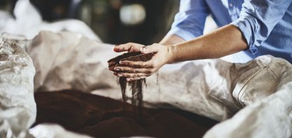 hands holding dried coffee waste