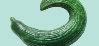 Wonky cucumber