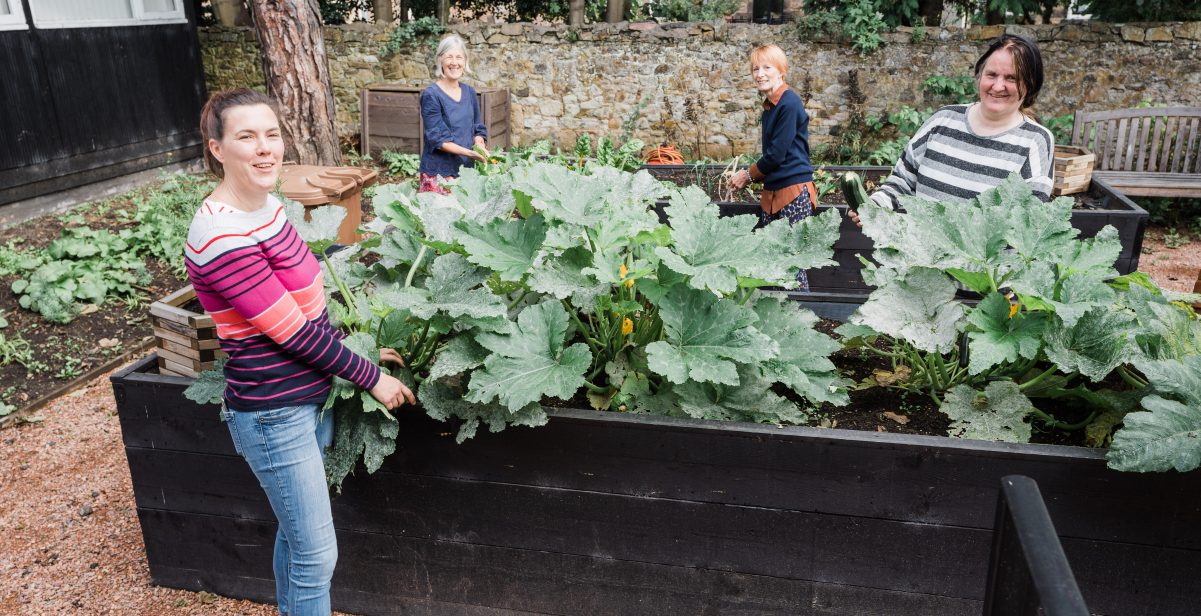 Smiling people in a vegetable garden