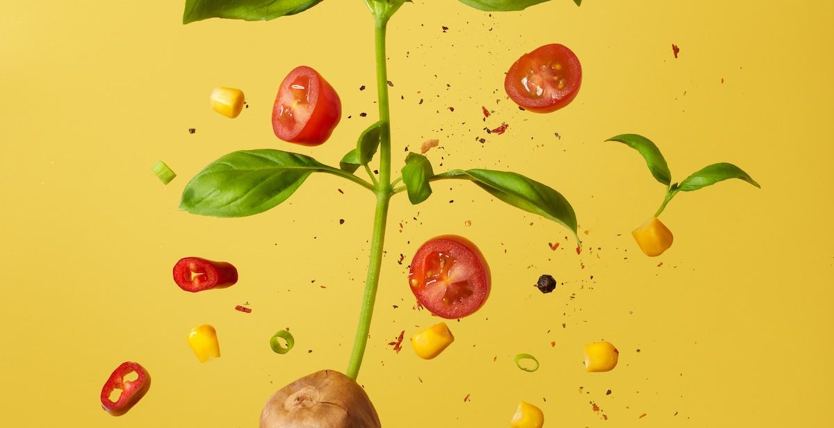 avocado seedling flying on a yellow background