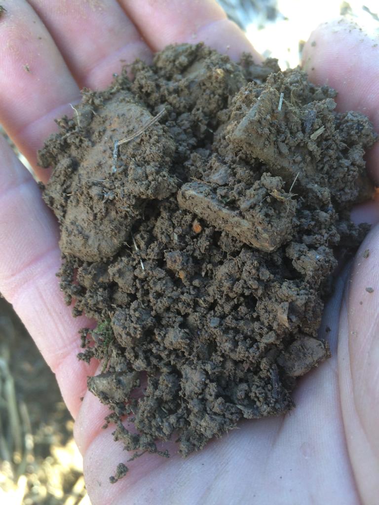 Moist soil thanks to sustainable farming practices