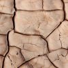 Dry, cracked soil