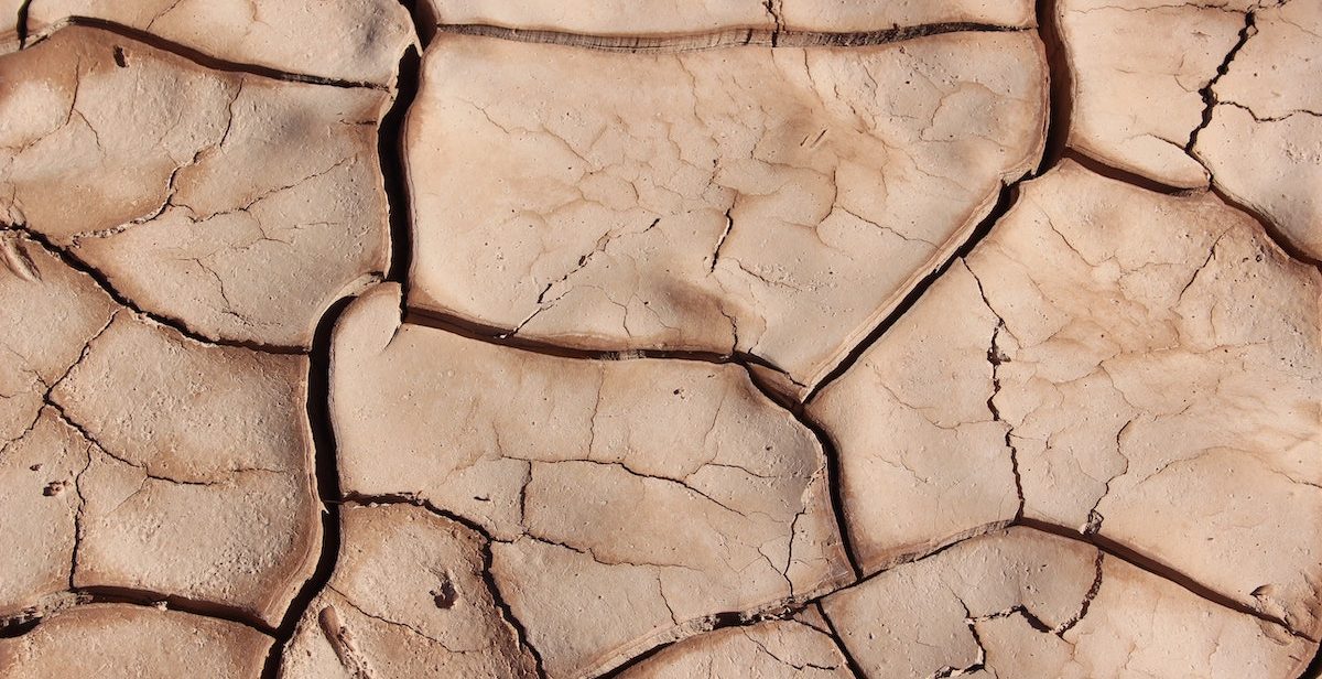 Dry, cracked soil