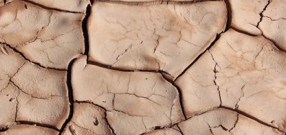 Dry, cracked soil