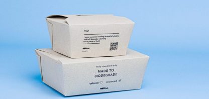 Two takeaway food boxes