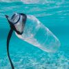 Plastic bottle floating in the sea