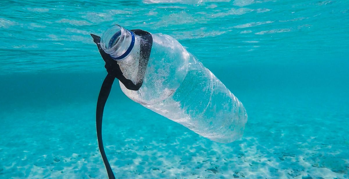 Plastic bottle floating in the sea