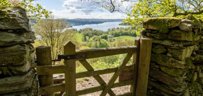 Gate in the countryside