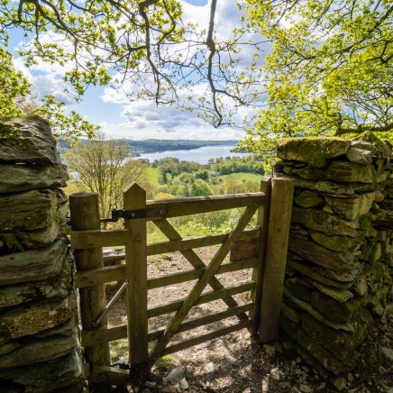 Gate in the countryside