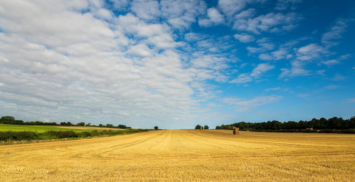 Field and sky