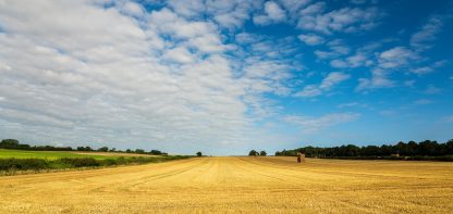 Field and sky