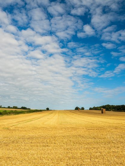 Field and sky