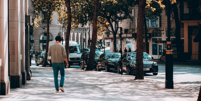 City street with trees